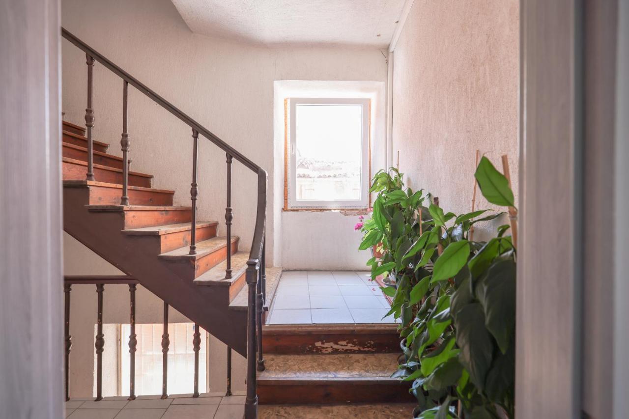 Cozy Studio Cvita Zadar Exterior foto